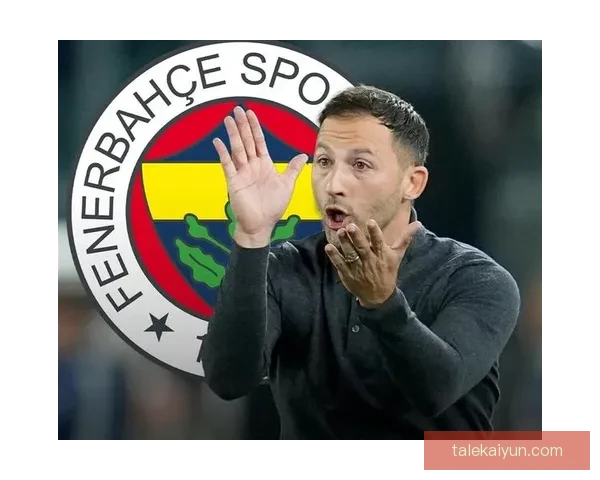 比利时主帅特德斯科近期带队表现稳健